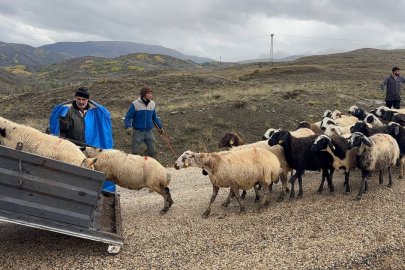 Erzincan'da yayla sezonu sona erdi, dönüş yolculuğu başladı