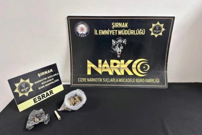 Şırnak’ta emniyet ekiplerinden asayiş, kaçakçılık ve narkotik operasyonu: 17 tutuklama
