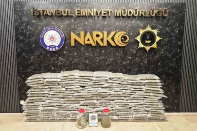 İstanbul ve Kocaeli’de uyuşturucu operasyonu: 100 kilo skunk maddesi ele geçirildi
