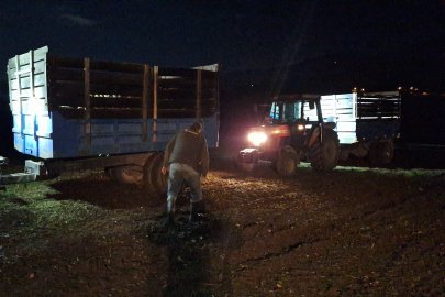 Yağış uyarısı çiftçiyi gece hasadına yöneltti