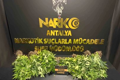 Antalya’da 32 operasyonda 28 bin 519 sentetik ecza ele geçirildi
