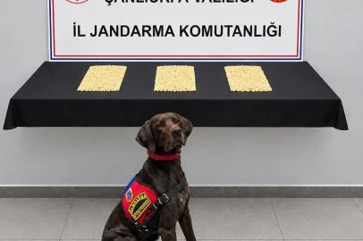 Şanlıurfa’da 2 bin 970 Captagon hap ele geçirildi
