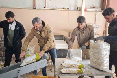 Bitlis, tohumluk kuru fasulye üretiminde Türkiye birincisi
