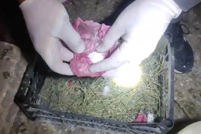 Iğdır’da uyuşturucu operasyonu: 3 şüpheli tutuklandı
