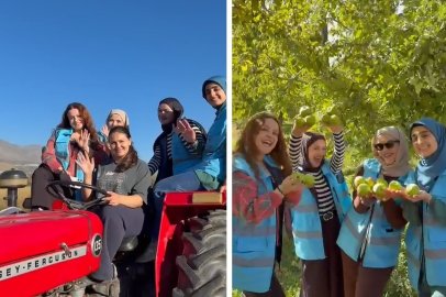 Öğrenciler Üzümlü’de meyve hasadına katıldı