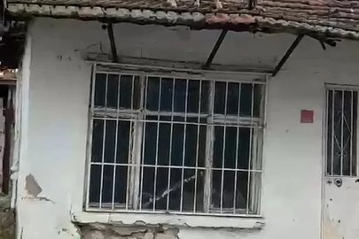 Edirne’de çatıya çıkan koyun şaşırttı: Otları yemek için çatıya çıktı
