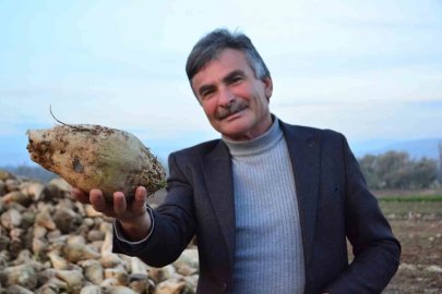 Şeker pancarı üreticisinin sözleri sosyal medyada gündem oldu: "’Ben kazanmıyorum’ diyen çiftçiler külliyen yalan söylüyor"

