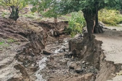Elazığ’da aşırı yağış sonrası ağaçlar devrildi, derin çukurlar oluştu
