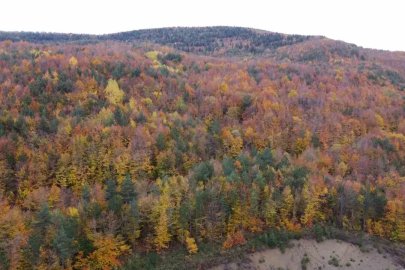 Bolu-Mudurnu kara yolunda sonbahar cümbüşü havadan görüntülendi
