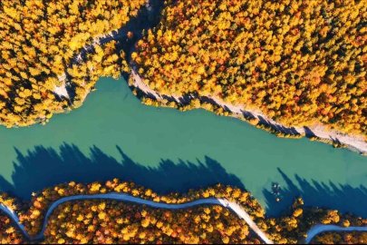 Bilecik ormanlarında sonbaharın sessizliği renklerin göz alıcı dünyasında yaşanıyor
