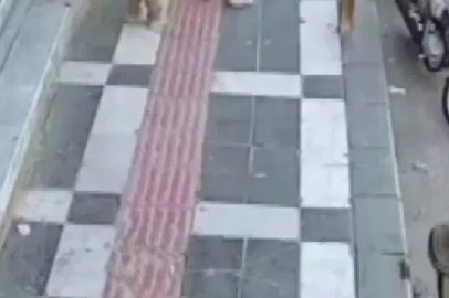 Şanlıurfa’da iki kız kardeşinin çantasını sırtlayan ağabey kamerada
