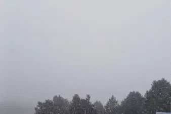 Sarıkamış’ta yağmur zirvede kara dönüştü
