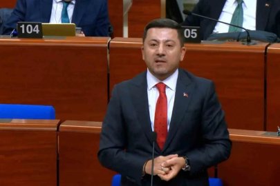 Başkan Arı’dan Strasbourg’da net mesaj: "Türkiye’nin yerine karar verilemez"
